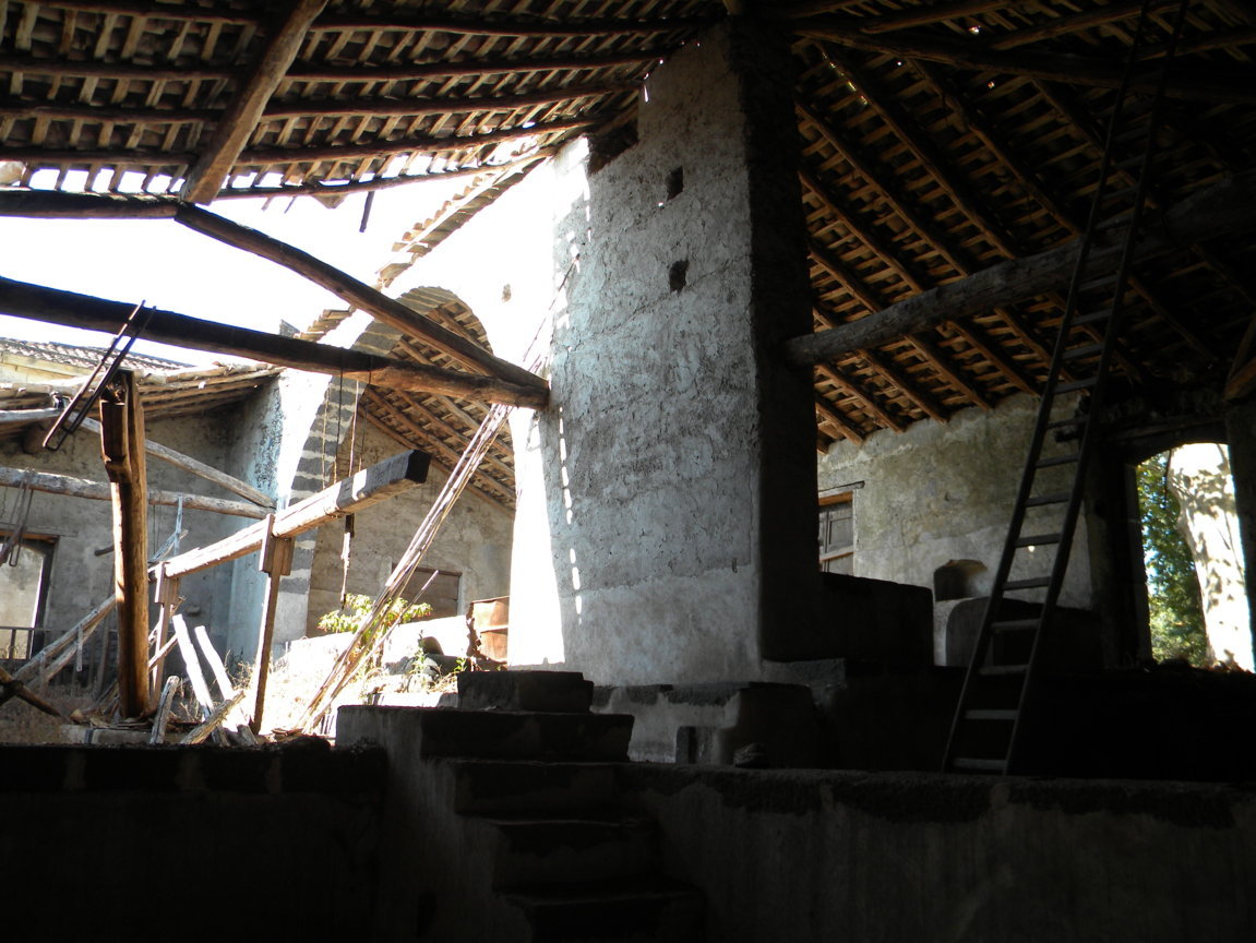 DSCN8170 .JPG